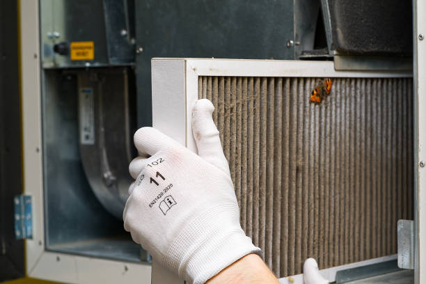 Best Ductwork Cleaning Services  in James City, NC