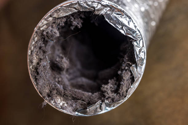 Best HVAC Air Duct Cleaning  in James City, NC